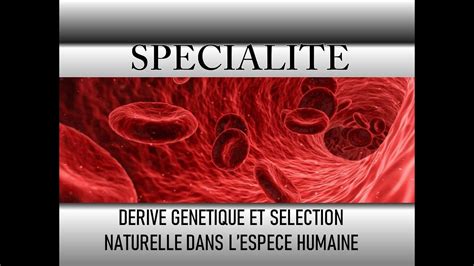 D Rive G N Tique Et S Lection Naturelle Dans L Esp Ce Humaine Youtube