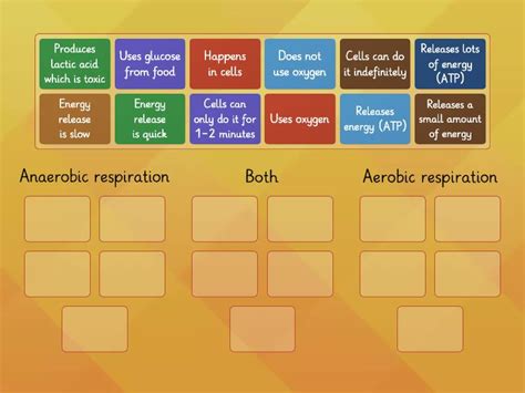 Anaerobic Vs Aerobic Respiration Ordenar Por Grupo