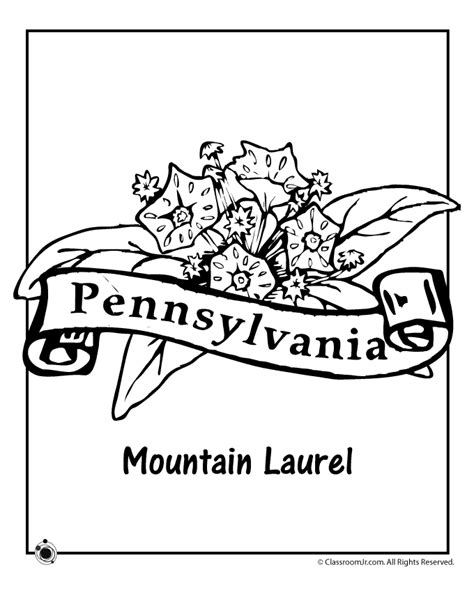 Pennsylvania State Flower Coloring Page | Woo! Jr. Kids Activities