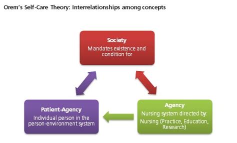 Venn Diagram For Orem And Roy Nursing Theory Realityrn