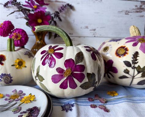 How To Make Pressed Flower Pumpkins No Carve Pumpkin Decorating Idea