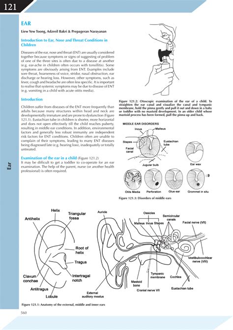 Pdf Ear Nose Throat And Hearing Chapters