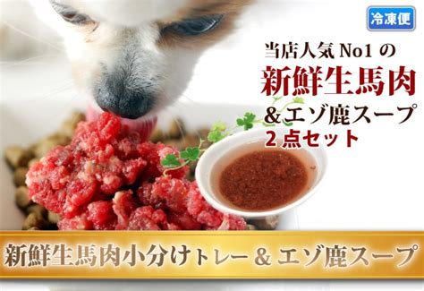 犬用 手作り食材｜エゾ鹿スープ 100g×5袋｜ドックフードの通販・帝塚山ハウンドカム