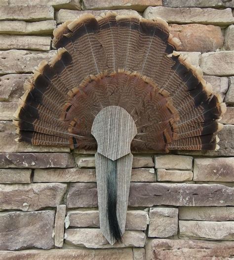 A Large Bird S Head Mounted To The Side Of A Brick Wall Next To A Stone