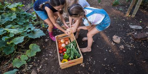 Envie d un potager résilient malgré la sécheresse Découvrez les