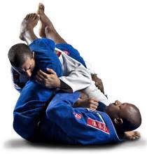 Collection Of Jiu Jitsu PNG HD PlusPNG