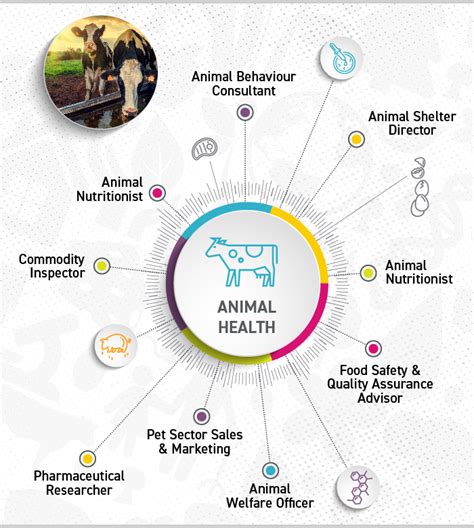 Animal Health Faculty Of Agricultural Life And Environmental Sciences