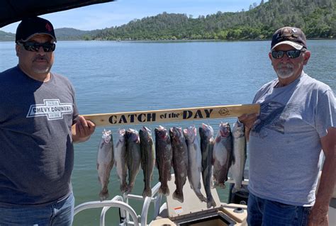 Collins Lake Lots Of Limits Trophy Trout As Planting Continues