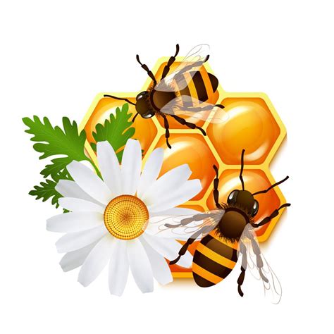 Embl Me De Fleurs D Abeilles En Nid D Abeille Art Vectoriel Chez