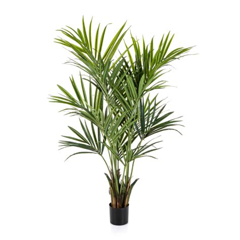 Buy Kentia Artificial Palm Order Artificial Palm Fast Shipping