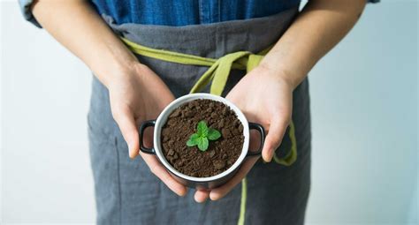 7 Tips And Tricks To Grow A Sustainable Green Thumb Greener Ideal