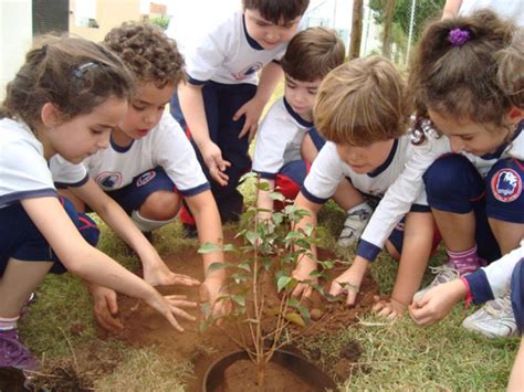 Alunos de escolas públicas da capital plantam mudas de árvores Novojornal