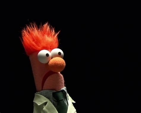 🔥 [130+] Beaker Muppets Wallpapers | WallpaperSafari