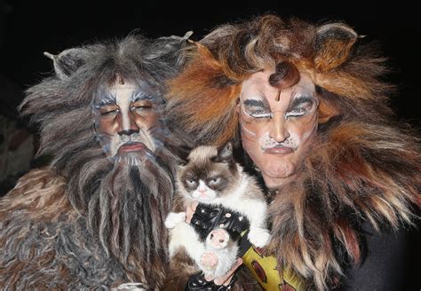 Cats Broadway Cast 2016 Review Does Cats Have Nine Lives On