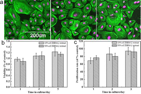 Cytocompatibility Test Of Corrosion Products In Vitro On Human