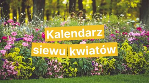 Kalendarz siewu kwiatów video Dailymotion