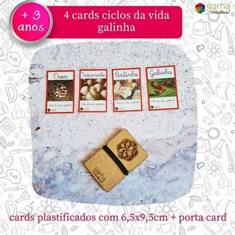 Tarjetas Chicken Life Cycle 4 Unidades Tarjetero MercadoLibre