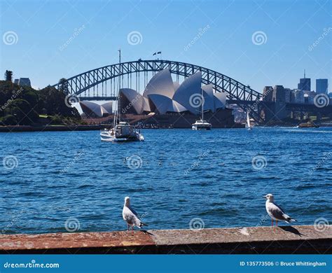 Sydney Opera House And Harbour Bridge Australia Editorial Photo Image Of East White 135773506