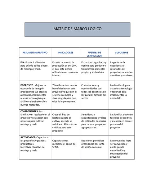 Matriz DE Marco Logico MATRIZ DE MARCO LOGICO RESUMEN NARRATIVO