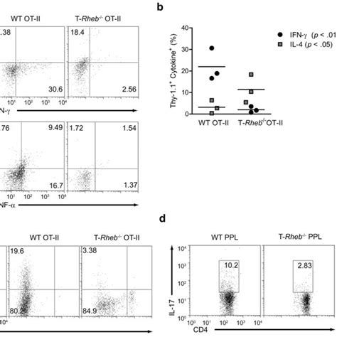 Mtorc1 Deficient T Cells Cannot Skew To T H 1 Or T H 17 In Vivo A Download Scientific