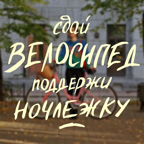 Прокат велосипедов | Санкт-Петербург | Cafebike