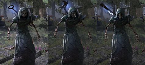 In The Elder Scrolls Online The Necromancer Can Spawn A Skeletal Mage