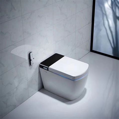 Smart Toilets