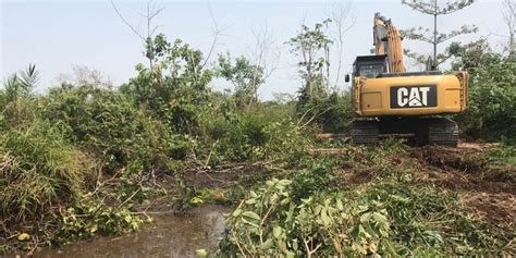 Kolaborasi KLHK BRGM Demi Wujudkan Mandat Jokowi Restorasi Gambut Dan