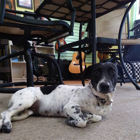 Postal experts explain the importance of the blaine postal center 27