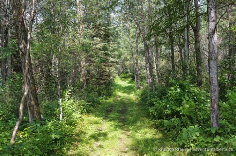 Places To Hike Near Edmonton Best Day Hiking Spots