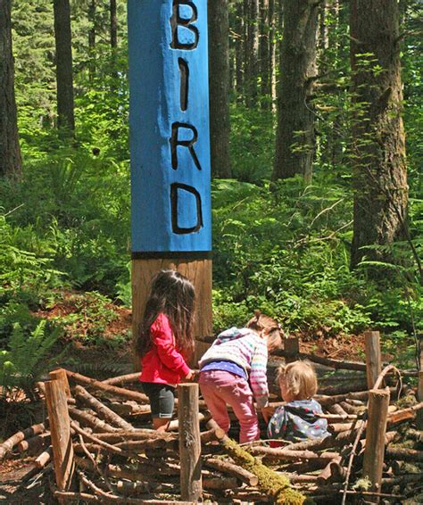 Silver Falls State Park North Canyon Nature Play Area Learning Landscapes Design