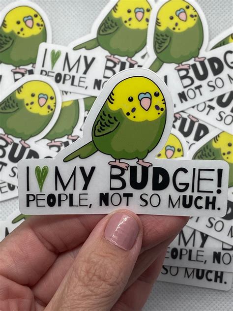 Pudgy Budgie Sticker I Love My Budgie People Not So Much Etsy