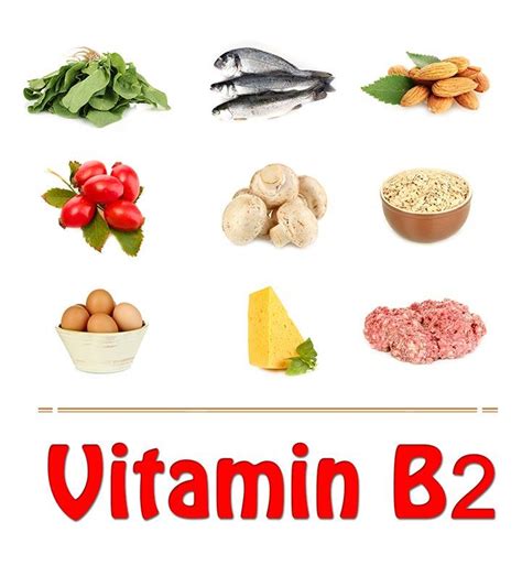 Vitamin B1 And B2 Food Sources