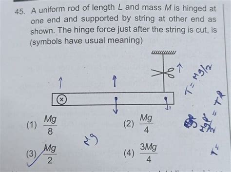 A Uniform Rod Of Length L And Mass M Is Hinged At One End And Supported B