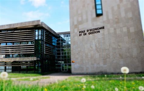 iae dijon ecole universitaire de management