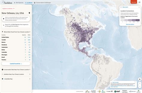 The Bird Migration Explorer Lets You Interact With Nature’s Most ...