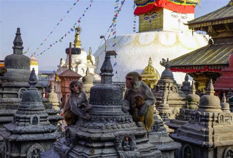 Kathmandu Unsesco Heritage Sightseen Tour Private Day Tour