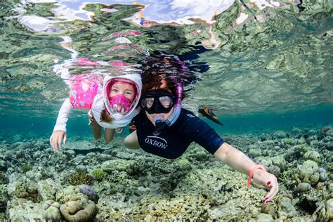 Bali Half Day Snorkelling Trip Menjangan Island Book Online