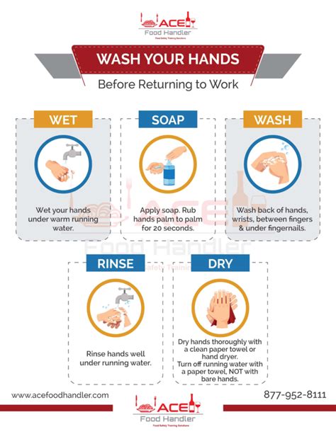 The Importance of Handwashing for California Food Handlers - Ace Food Handler™