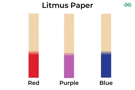 What Is Litmus Paper Types History Colours And Tests