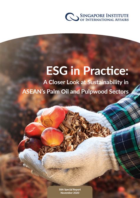 Singapore Institute Of International Affairs ESG In Practice A