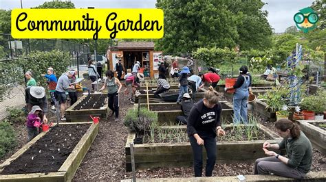 How To Start A Community Garden In Your Neighborhood How To Start A