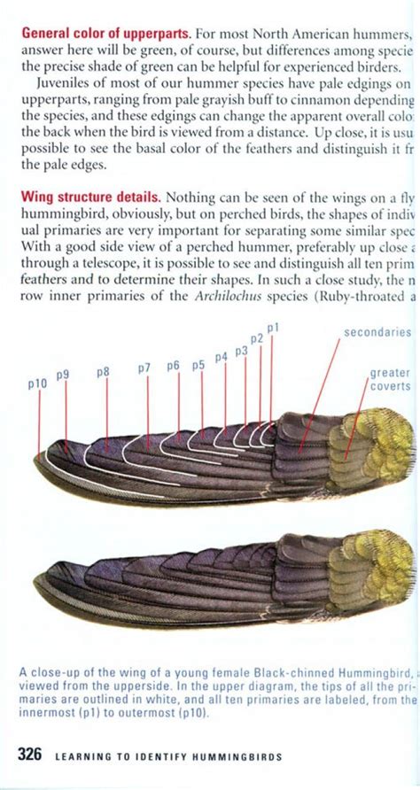 Kaufman Field Guide To Advanced Birding Understanding What You See And