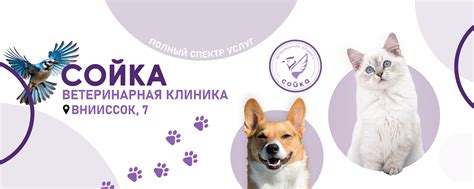 Ветеринарная клиника "Сойка" | Мы - многопрофильный ветеринарный центр ...
