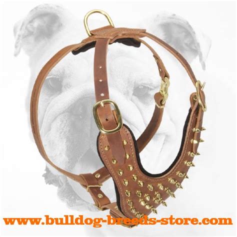 Buy Soft Padded Leather Bulldog Harness Training