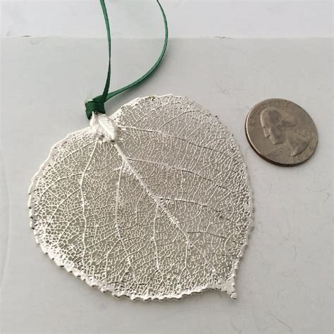 Real Colorado Aspen Leaf Ornament Or Holiday Decor Large Etsy