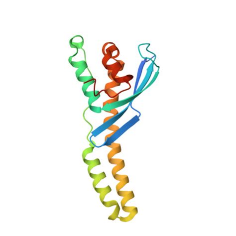 Gene Q Y X Protein Snx Overview Cansar Ai