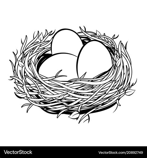 Nest With Golden Egg Coloring Royalty Free Vector Image