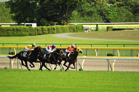 競馬予想家・予想家ナツとは？現在は何してる？気になるアレコレまとめました Fc2まとめ