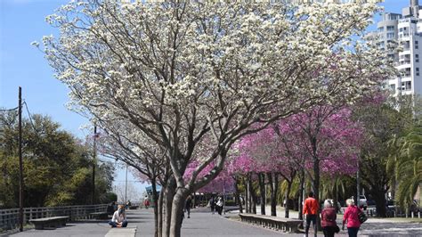 El Tiempo En Rosario Tras Un Viernes Soleado Llega Un Fin De Semana